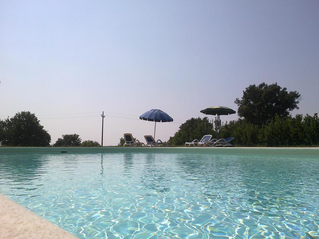 Agriturismo Monte Dell'Olmo ترفيجنانو رومانو المظهر الخارجي الصورة